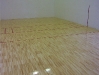 sportwood-web